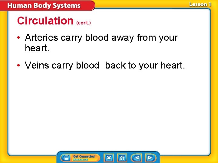Circulation (cont. ) • Arteries carry blood away from your heart. • Veins carry
