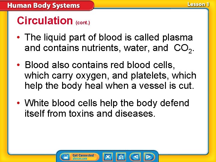 Circulation (cont. ) • The liquid part of blood is called plasma and contains