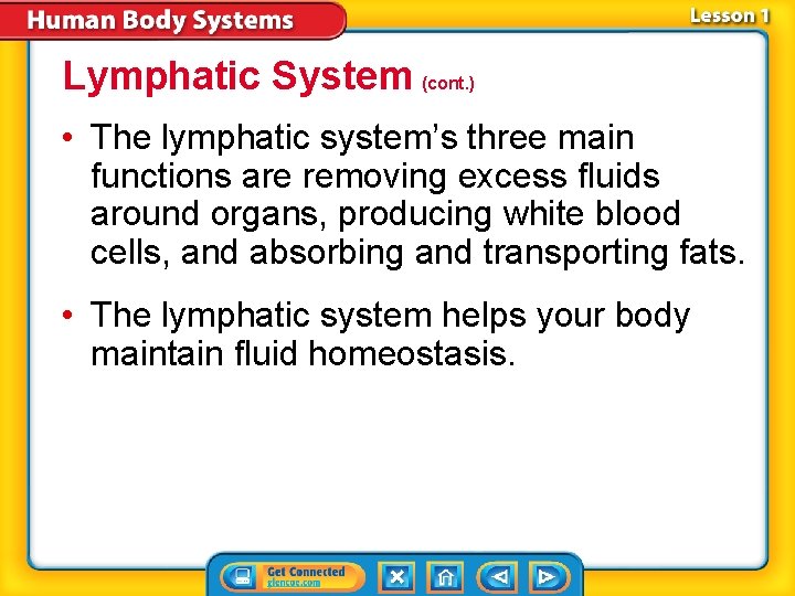 Lymphatic System (cont. ) • The lymphatic system’s three main functions are removing excess