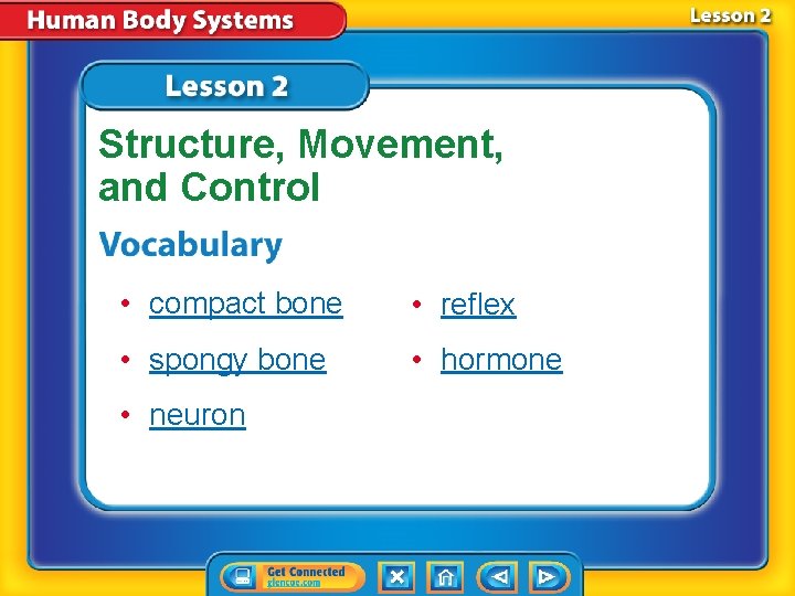 Structure, Movement, and Control • compact bone • reflex • spongy bone • hormone