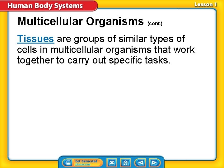 Multicellular Organisms (cont. ) Tissues are groups of similar types of cells in multicellular
