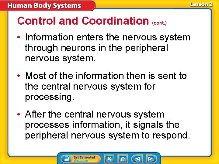 Control and Coordination (cont. ) • Information enters the nervous system through neurons in