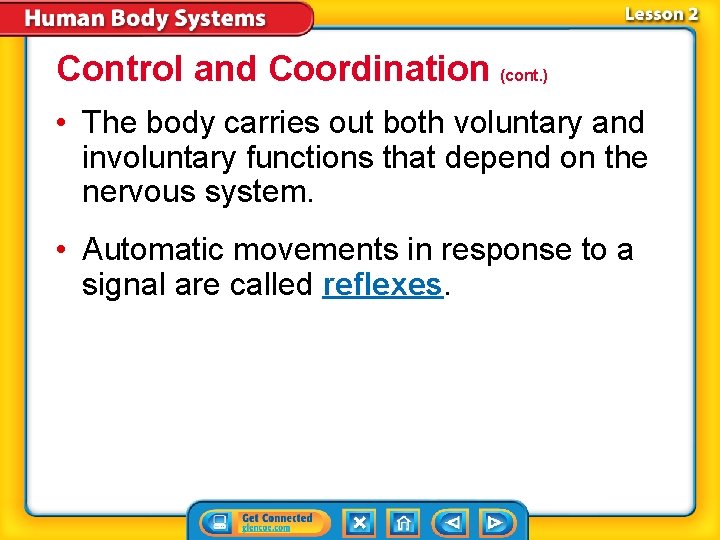 Control and Coordination (cont. ) • The body carries out both voluntary and involuntary