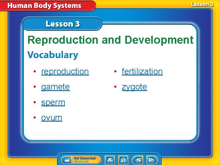 Reproduction and Development • reproduction • fertilization • gamete • zygote • sperm •