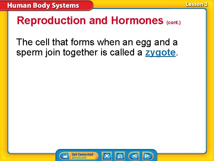 Reproduction and Hormones (cont. ) The cell that forms when an egg and a