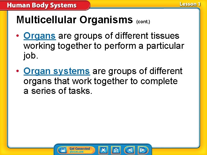 Multicellular Organisms (cont. ) • Organs are groups of different tissues working together to