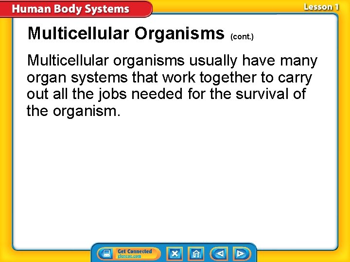 Multicellular Organisms (cont. ) Multicellular organisms usually have many organ systems that work together