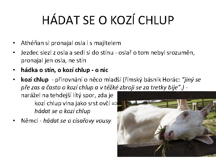 HÁDAT SE O KOZÍ CHLUP • Athéňan si pronajal osla i s majitelem •