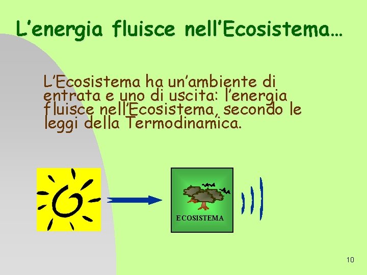 L’energia fluisce nell’Ecosistema… L’Ecosistema ha un’ambiente di entrata e uno di uscita: l’energia fluisce