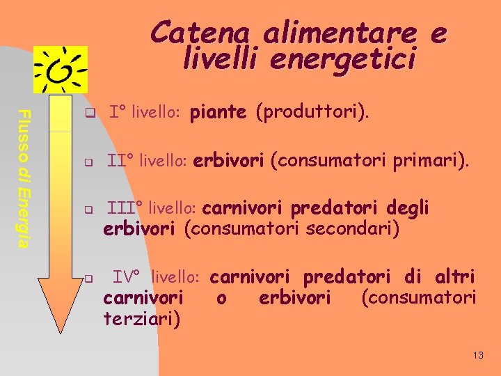 Catena alimentare e livelli energetici Flusso di Energia q I° livello: piante (produttori). q