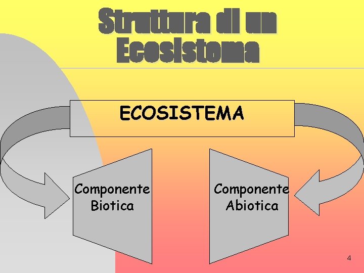 Struttura di un Ecosistema ECOSISTEMA Componente Biotica Componente Abiotica 4 
