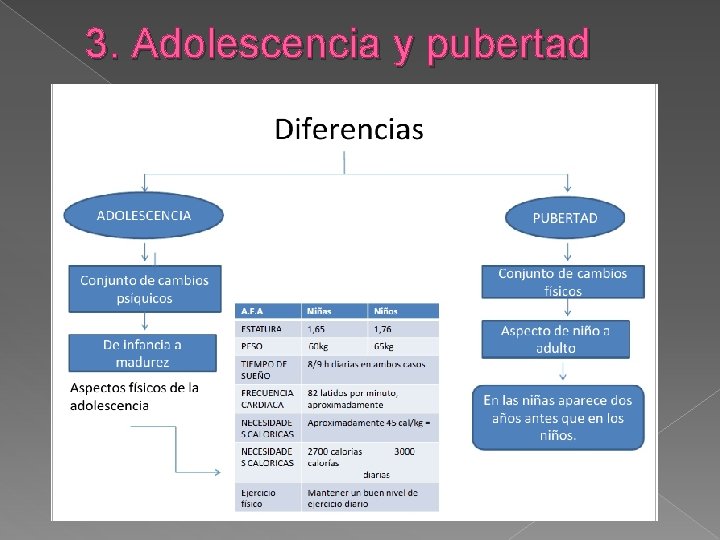 3. Adolescencia y pubertad 