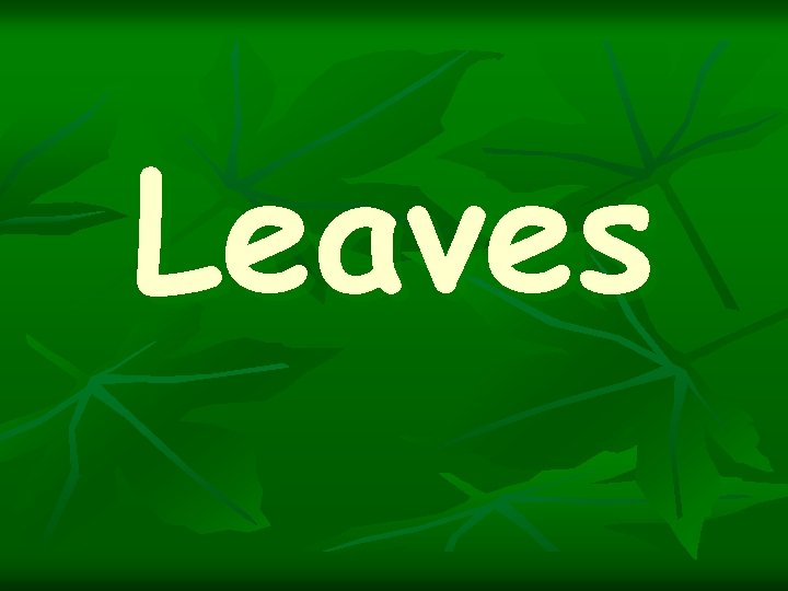 Leaves 