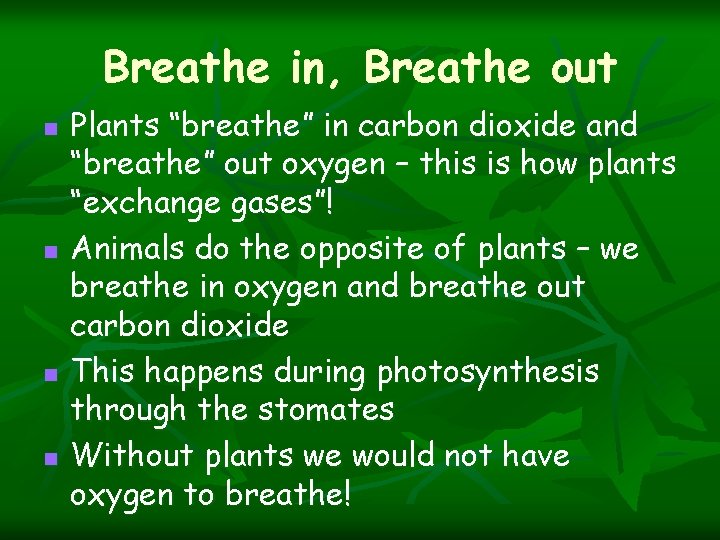 Breathe in, Breathe out n n Plants “breathe” in carbon dioxide and “breathe” out