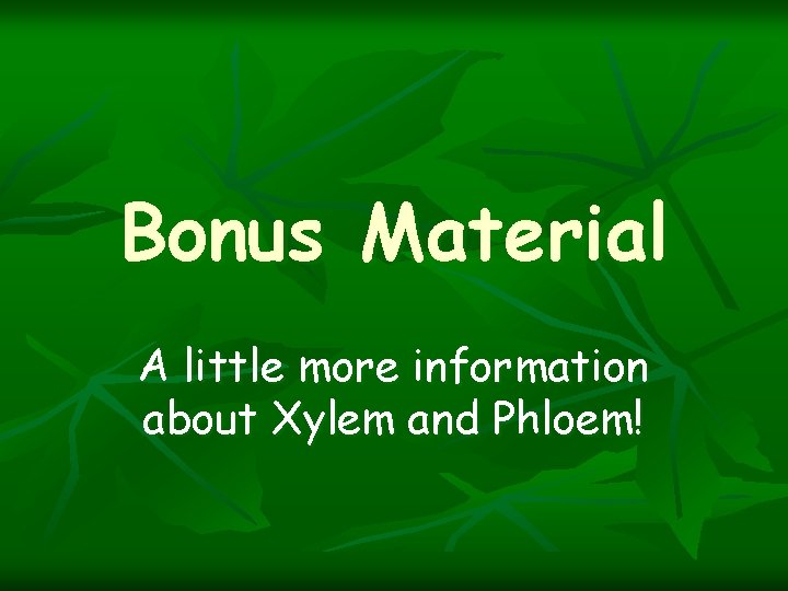 Bonus Material A little more information about Xylem and Phloem! 