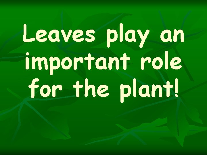 Leaves play an important role for the plant! 
