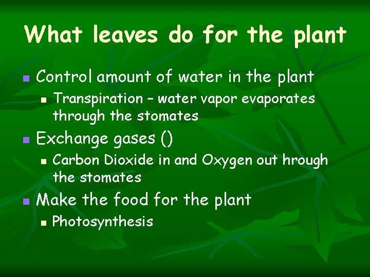 What leaves do for the plant n Control amount of water in the plant