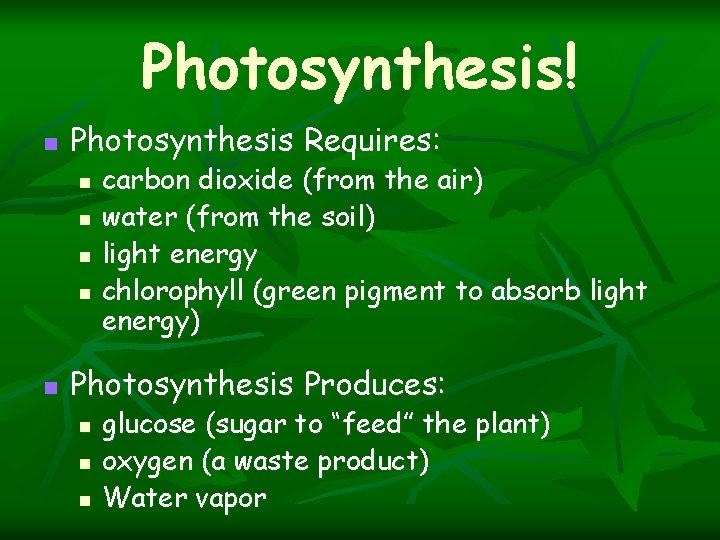 Photosynthesis! n Photosynthesis Requires: n n n carbon dioxide (from the air) water (from