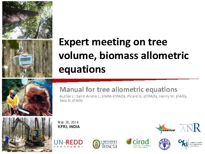 Expert meeting on tree volume, biomass allometric equations Manual for tree allometric equations Authors