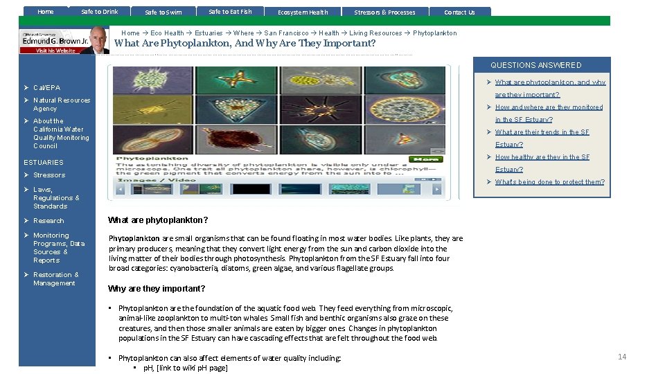 Home Safe to Drink Safe to Swim Safe to Eat Fish Ecosystem Health Stressors