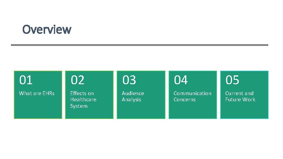 Overview 01 02 03 04 05 What are EHRs Effects on Healthcare System Audience