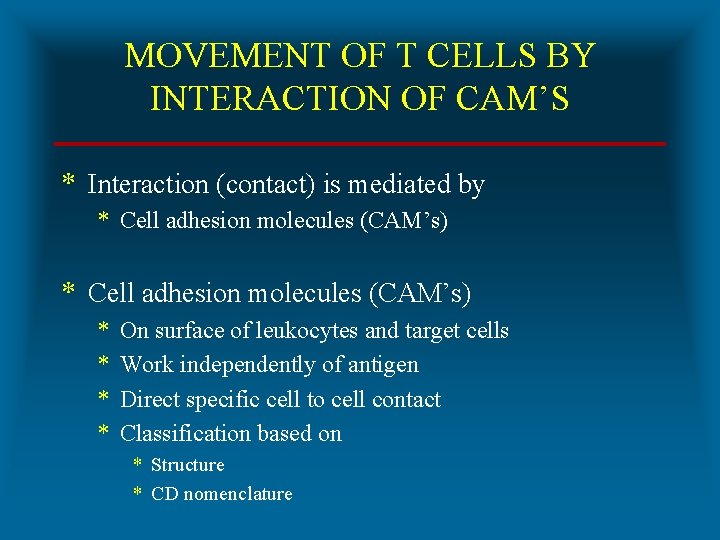 MOVEMENT OF T CELLS BY INTERACTION OF CAM’S * Interaction (contact) is mediated by