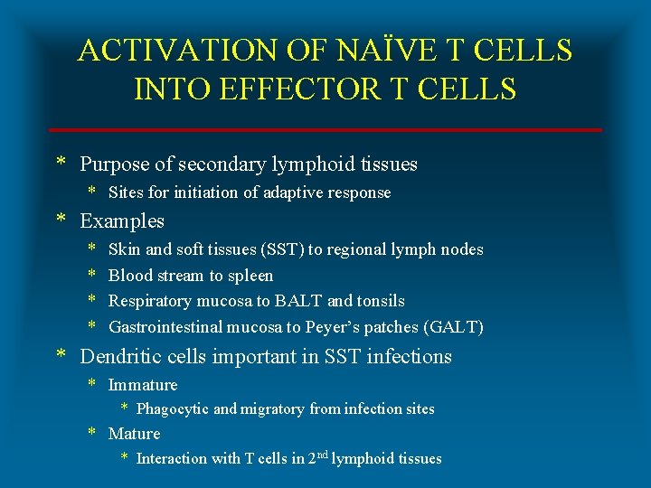 ACTIVATION OF NAÏVE T CELLS INTO EFFECTOR T CELLS * Purpose of secondary lymphoid