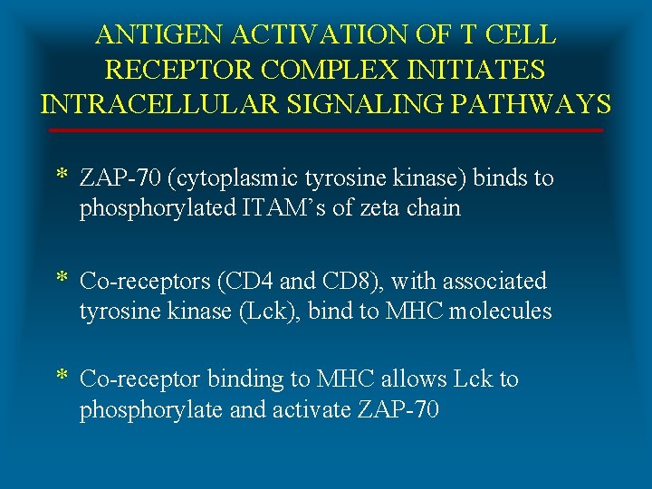 ANTIGEN ACTIVATION OF T CELL RECEPTOR COMPLEX INITIATES INTRACELLULAR SIGNALING PATHWAYS * ZAP-70 (cytoplasmic