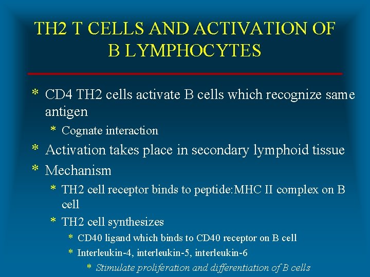 TH 2 T CELLS AND ACTIVATION OF B LYMPHOCYTES * CD 4 TH 2