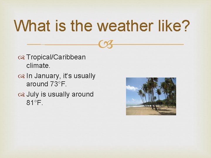 What is the weather like? Tropical/Caribbean climate. In January, it’s usually around 73°F. July