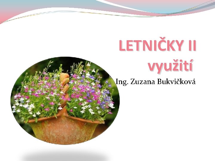 LETNIČKY II využití Ing. Zuzana Bukvičková 