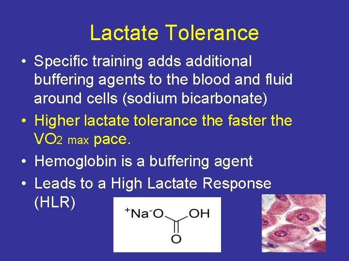 Lactate Tolerance • Specific training adds additional buffering agents to the blood and fluid