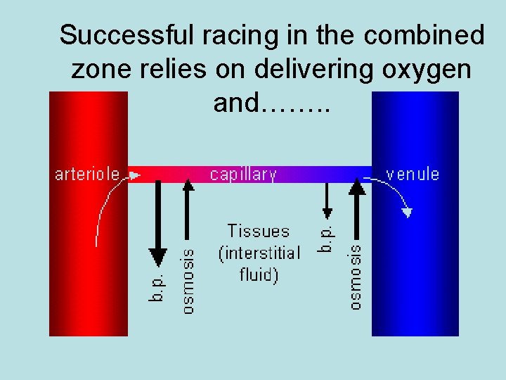 Successful racing in the combined zone relies on delivering oxygen and……. . 