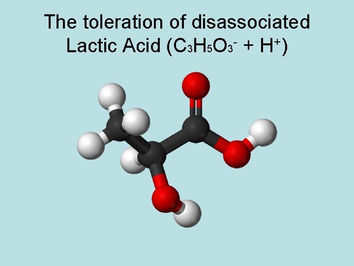 The toleration of disassociated Lactic Acid (C 3 H 5 O 3 - +
