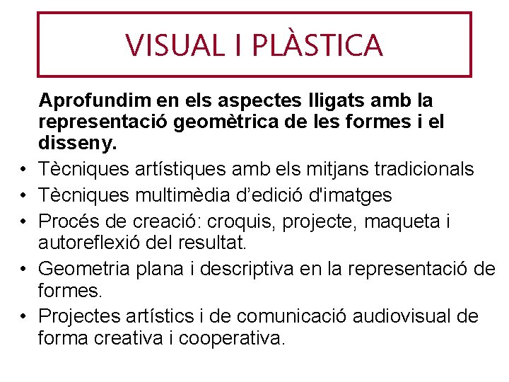 VISUAL I PLÀSTICA • • • Aprofundim en els aspectes lligats amb la representació