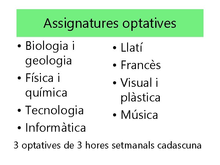 Assignatures optatives • Biologia i geologia • Física i química • Tecnologia • Informàtica