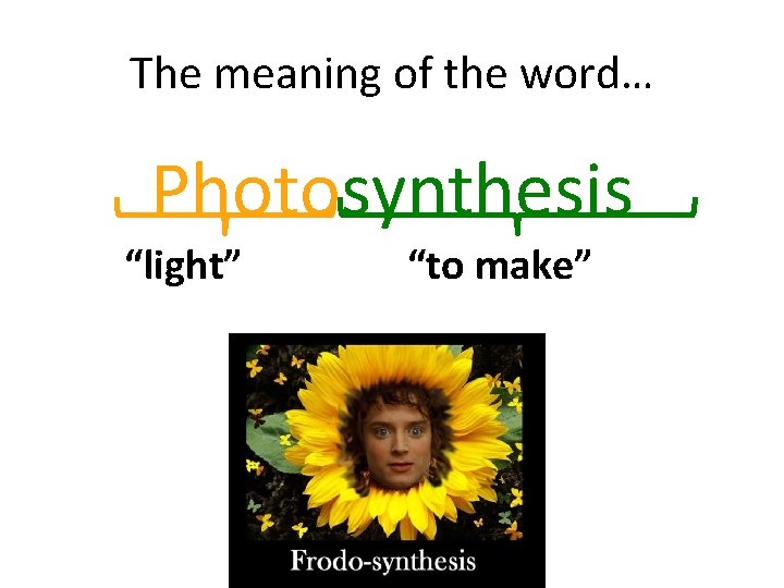 The meaning of the word… Photosynthesis “light” “to make” 