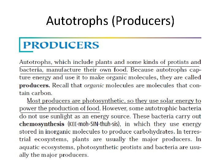 Autotrophs (Producers) 