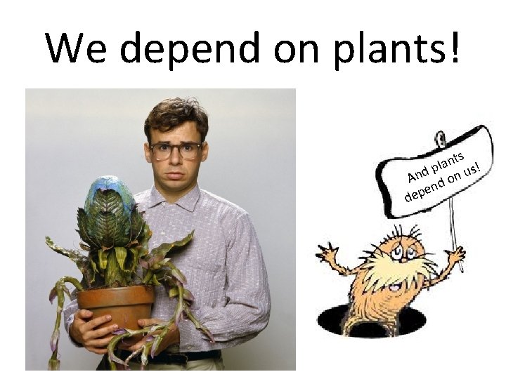 We depend on plants! ts n a l p s! u d n n