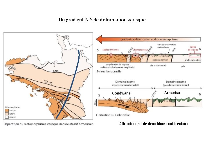 Un gradient N-S de déformation varisque Gondwana Armorica Affrontement de deux blocs continentaux 