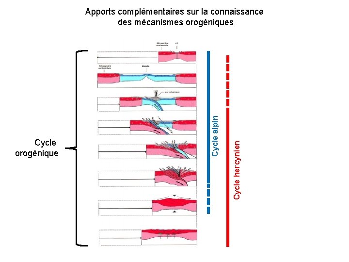 Cycle hercynien Cycle orogénique Cycle alpin Apports complémentaires sur la connaissance des mécanismes orogéniques