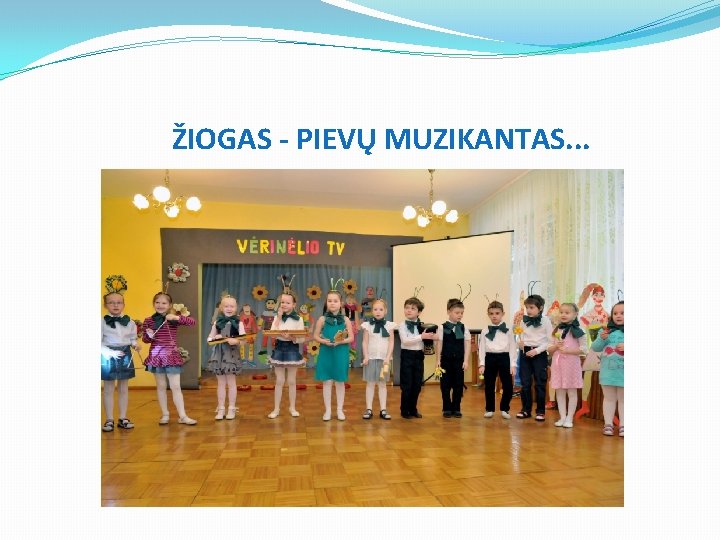 ŽIOGAS - PIEVŲ MUZIKANTAS. . . 