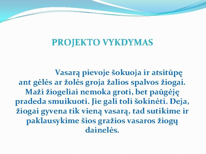 PROJEKTO VYKDYMAS Vasarą pievoje šokuoja ir atsitūpę ant gėlės ar žolės groja žalios spalvos