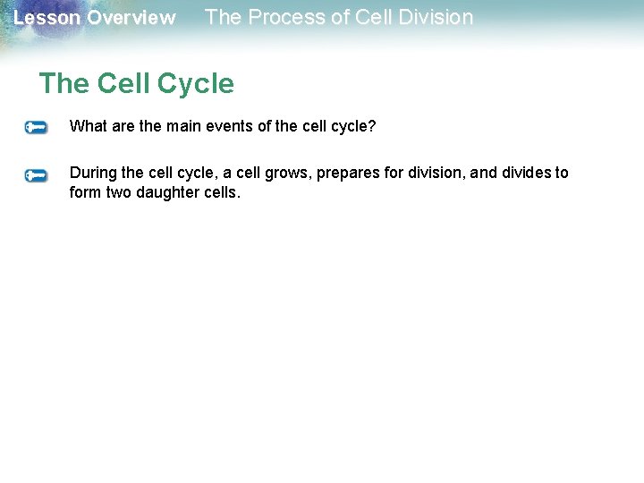 Lesson Overview The Process of Cell Division The Cell Cycle What are the main