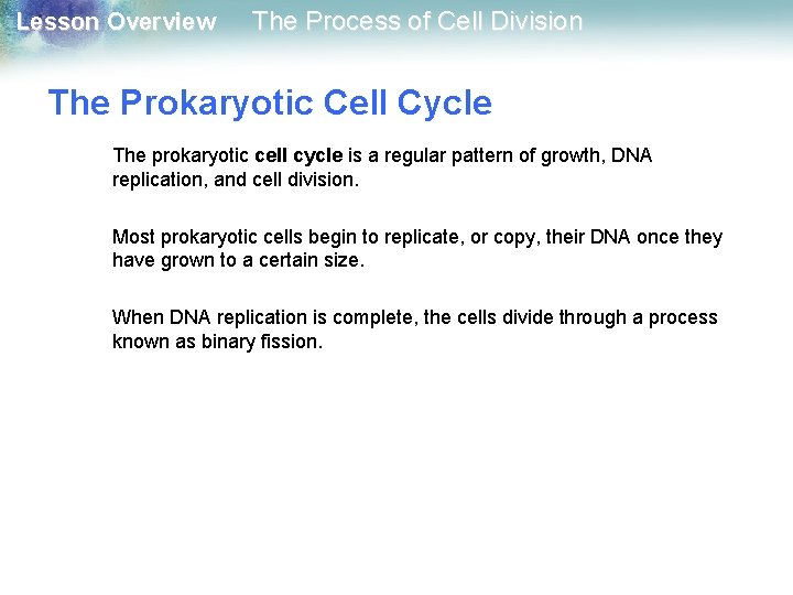 Lesson Overview The Process of Cell Division The Prokaryotic Cell Cycle The prokaryotic cell