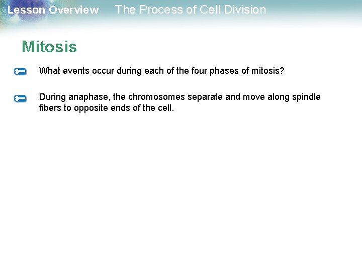 Lesson Overview The Process of Cell Division Mitosis What events occur during each of