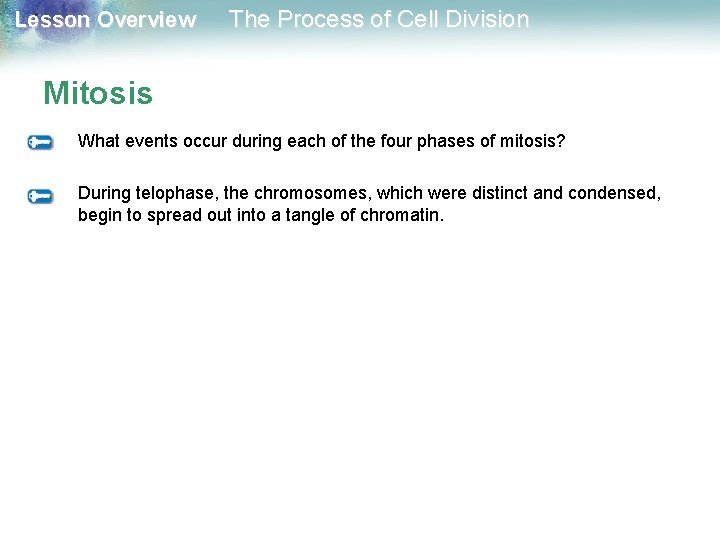 Lesson Overview The Process of Cell Division Mitosis What events occur during each of Lesson Overview The Process of Cell Division Mitosis What events occur during each of