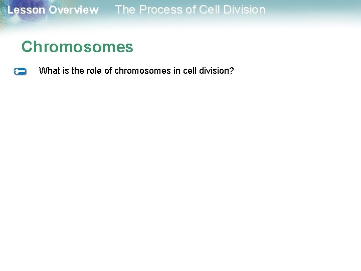 Lesson Overview The Process of Cell Division Chromosomes What is the role of chromosomes