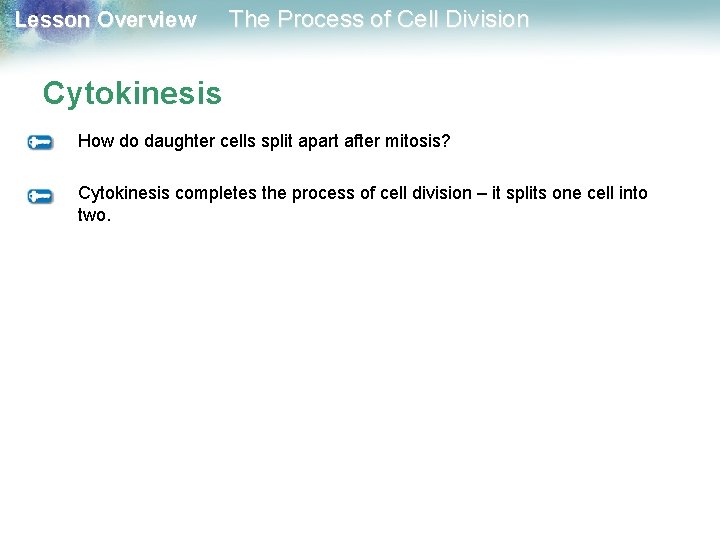 Lesson Overview The Process of Cell Division Cytokinesis How do daughter cells split apart