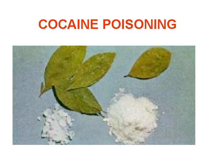COCAINE POISONING 